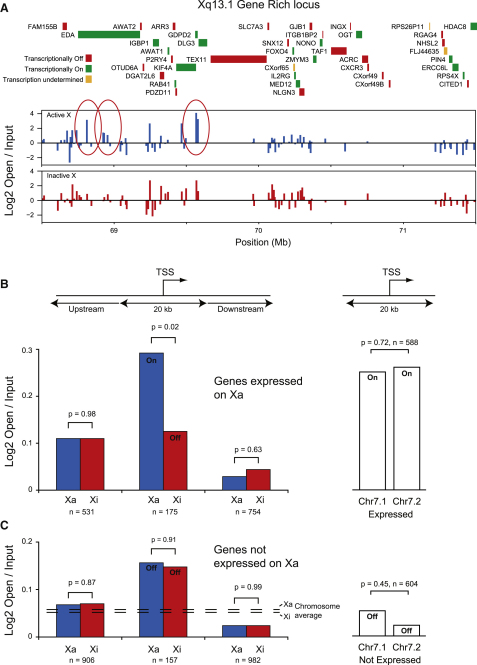 Figure 4