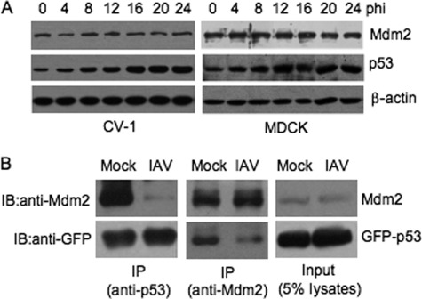 FIGURE 4.