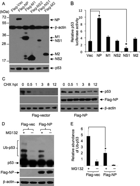 FIGURE 5.