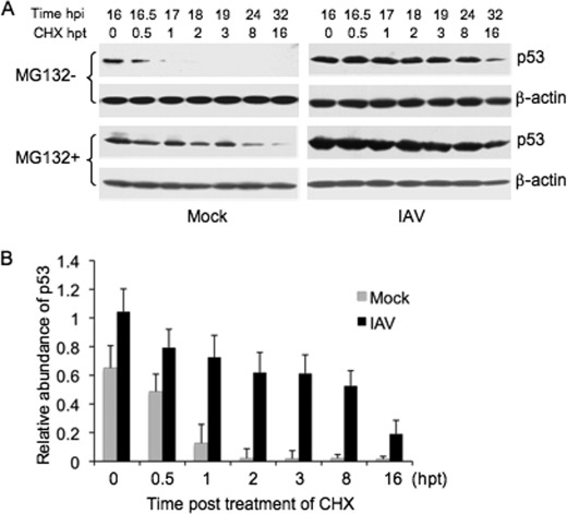 FIGURE 2.