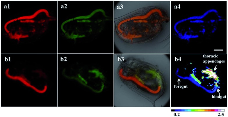 Fig. 8