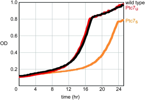 Figure 7.—