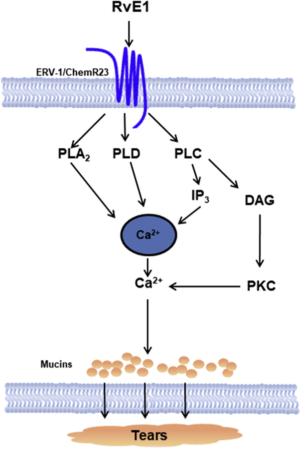 Fig. 9