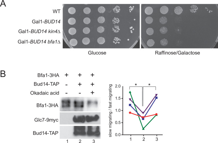 Figure 7—figure supplement 2.