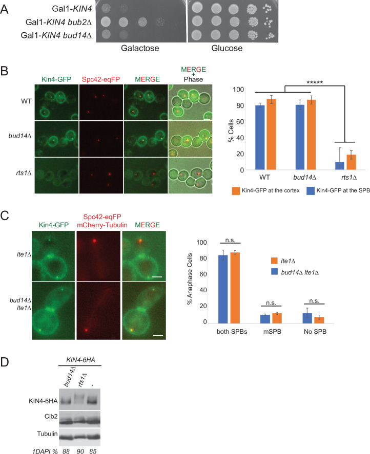 Figure 2—figure supplement 1.