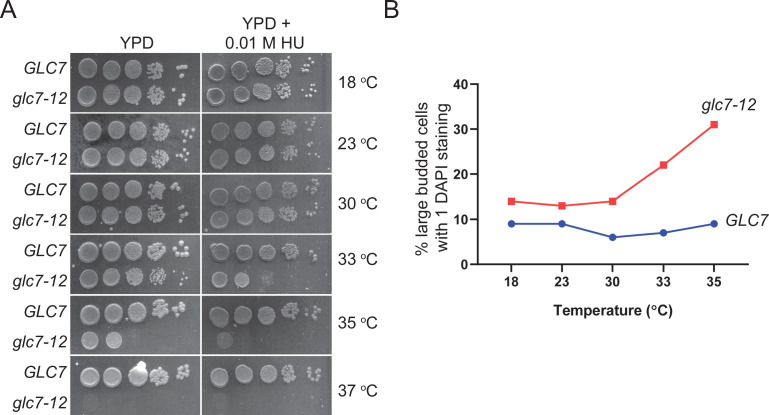 Figure 4—figure supplement 1.