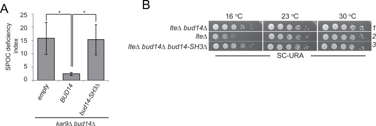 Figure 5—figure supplement 2.