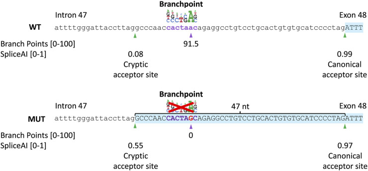 FIGURE 3