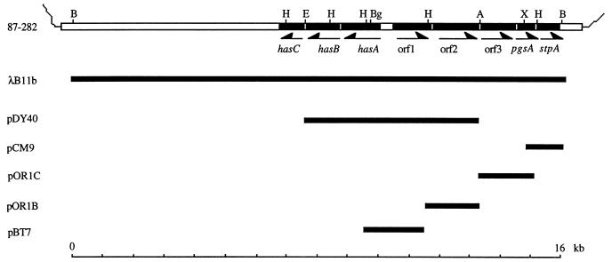 FIG. 1