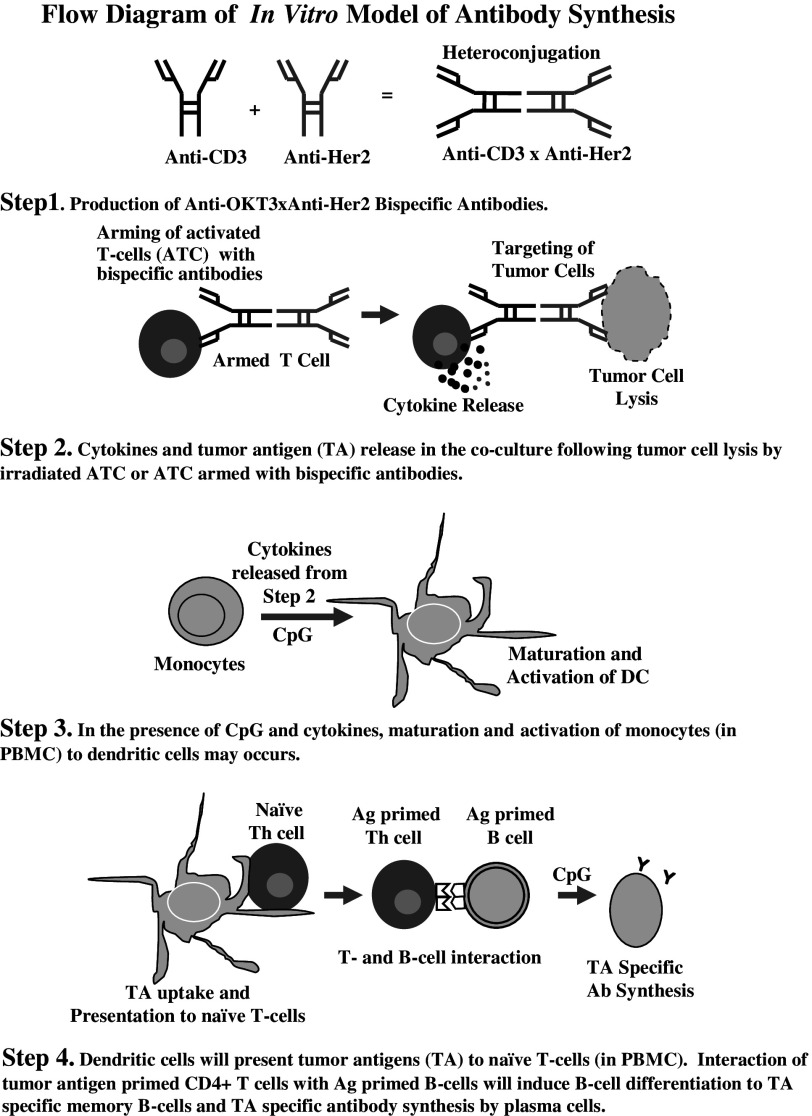 Scheme 1