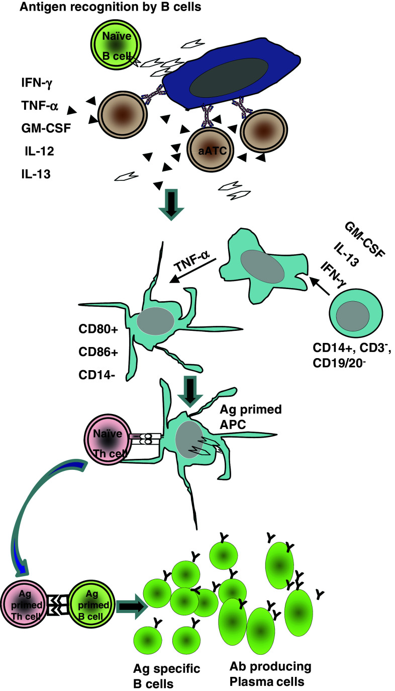 Fig. 6