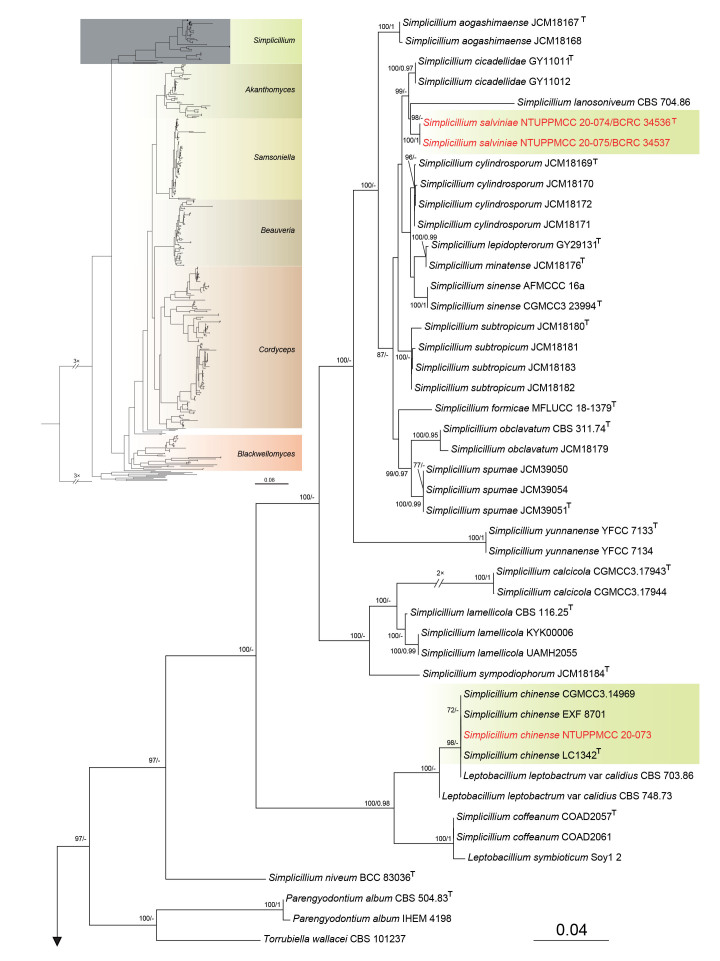 Fig. 2