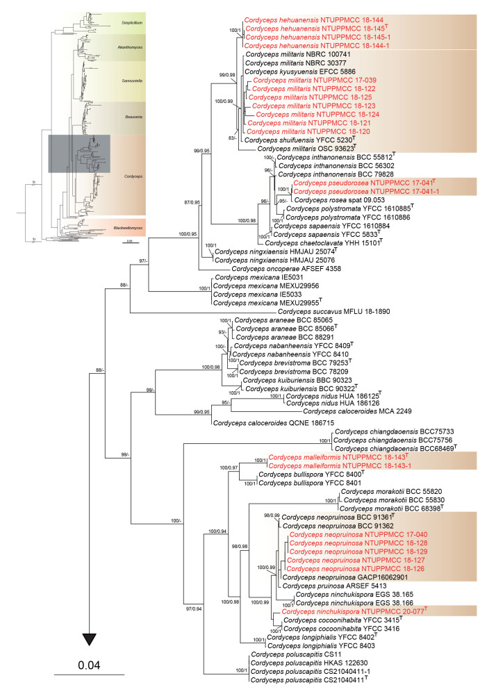 Fig. 2