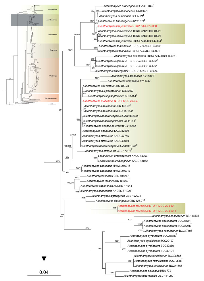 Fig. 2