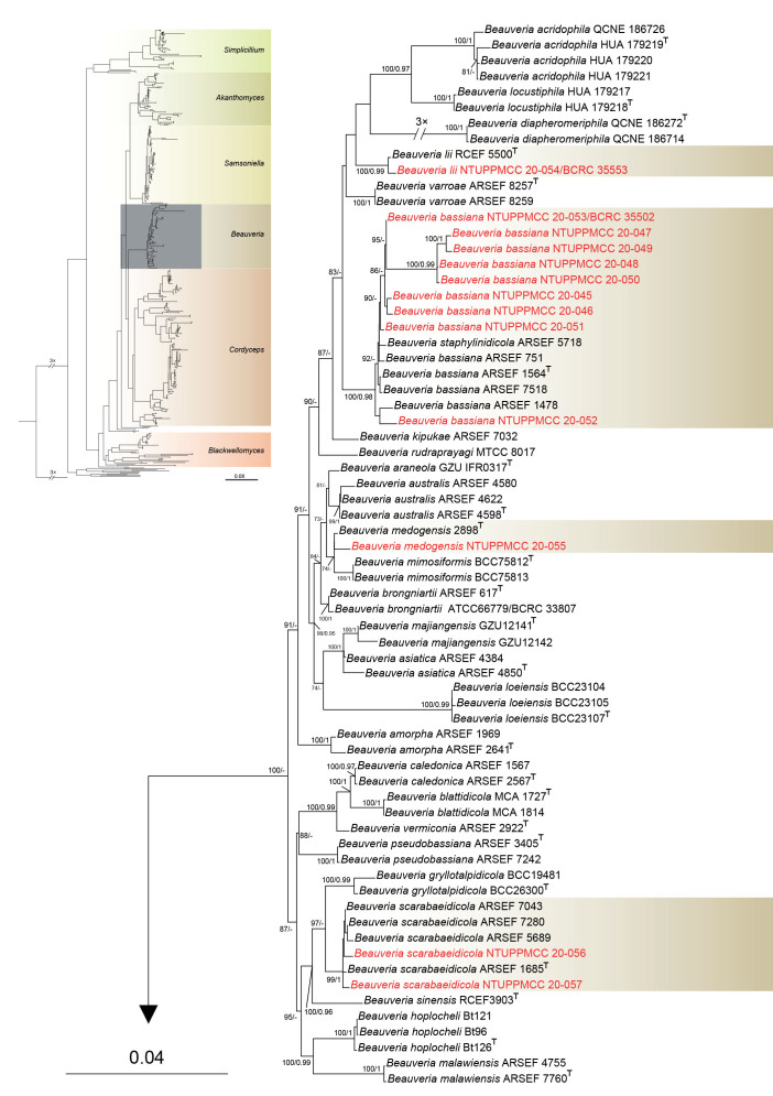 Fig. 2