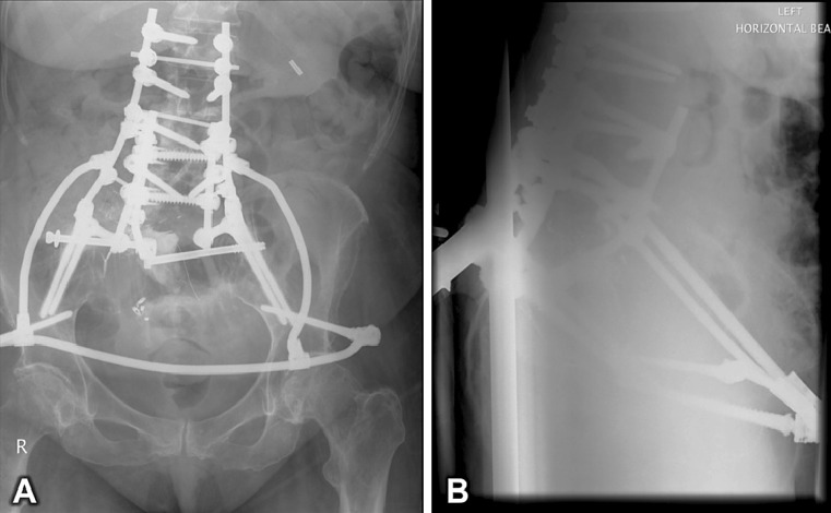 Fig. 5
