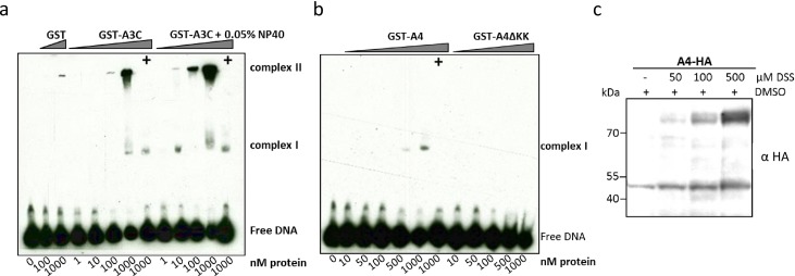 Fig 11