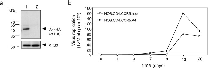 Fig 7