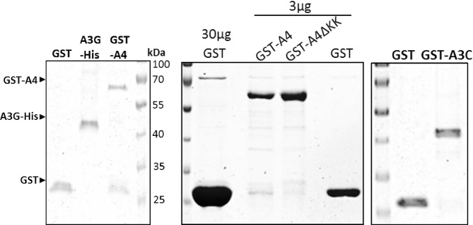 Fig 9