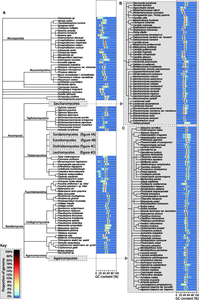 Fig. 3.