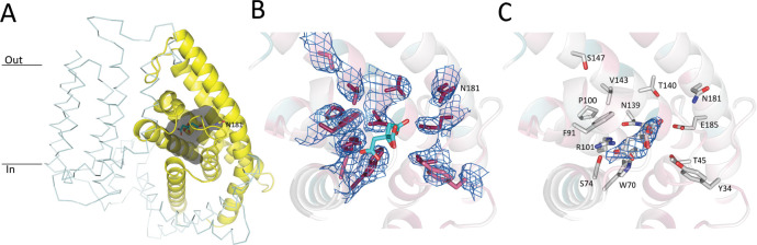 Figure 7.