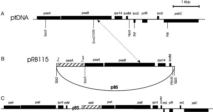 Fig. 1.