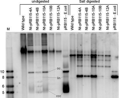 Fig. 4.