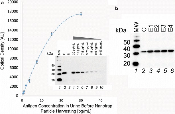 Fig. 7