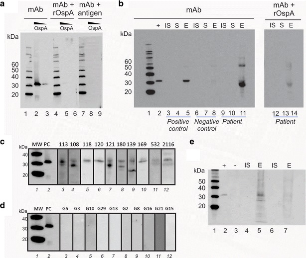 Fig. 9