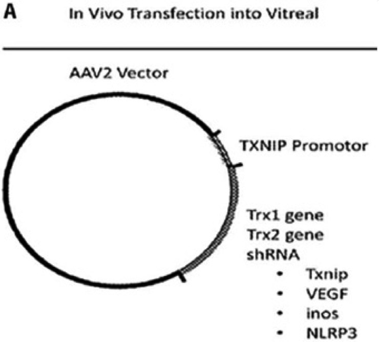 Figure 1: