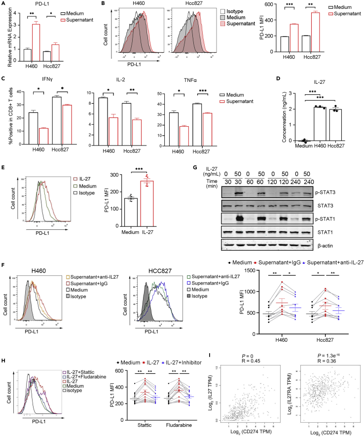 Figure 5