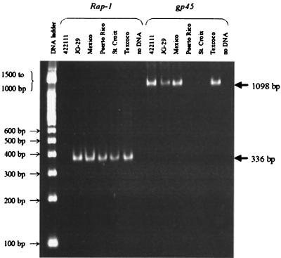 FIG. 5