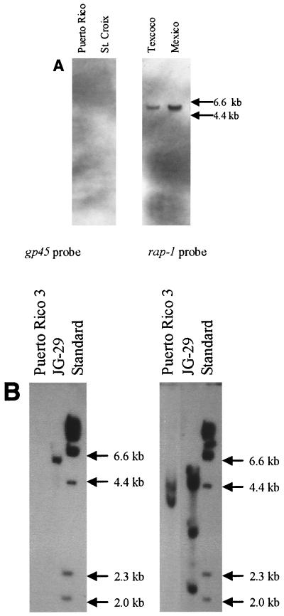 FIG. 6