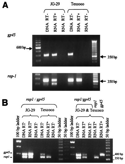 FIG. 7