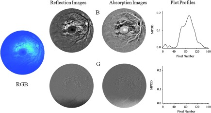 Fig. 4