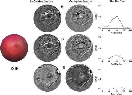 Fig. 3