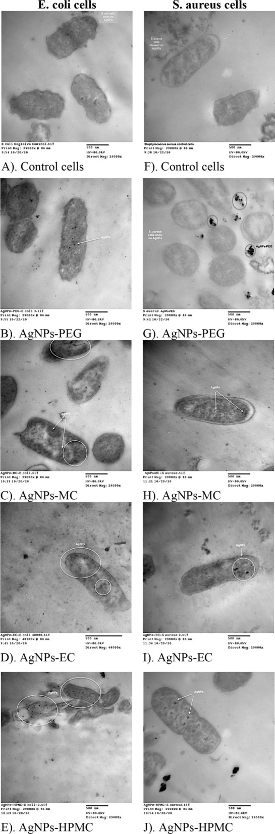 Figure 10