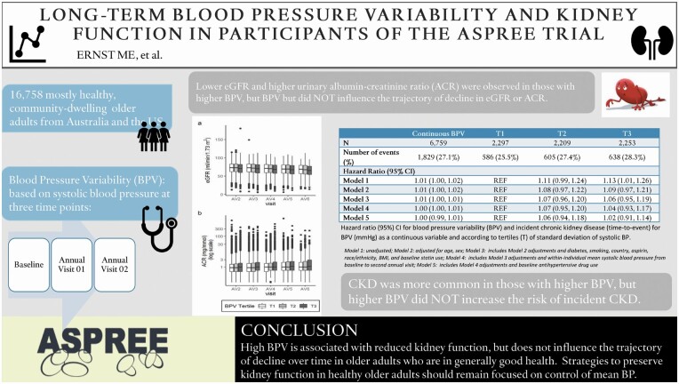 Graphical Abstract