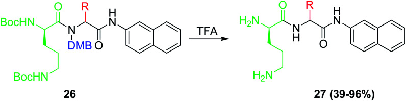 Scheme 8