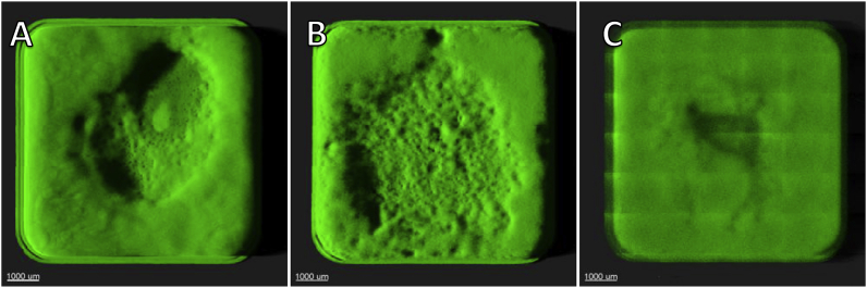 Fig. 2