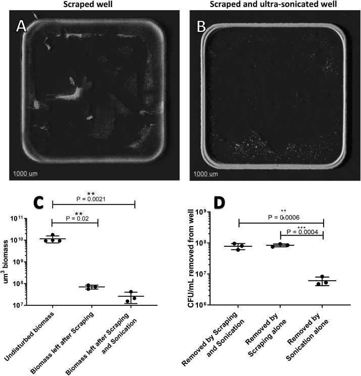 Fig. 5