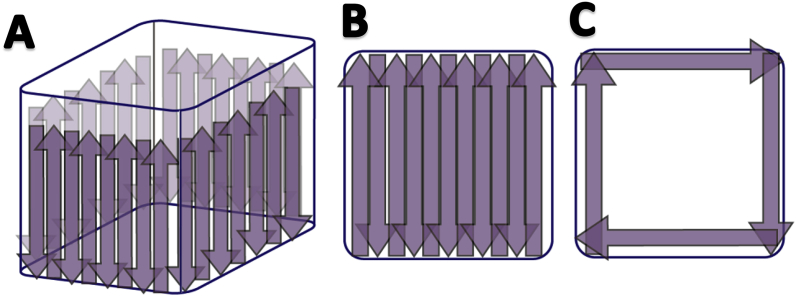 Fig. 8