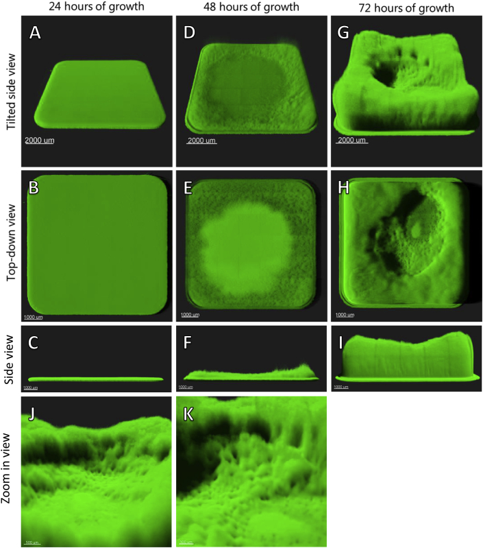 Fig. 1