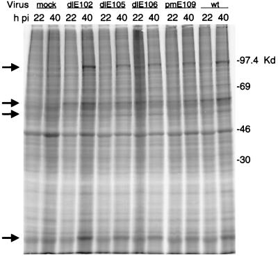 FIG. 5