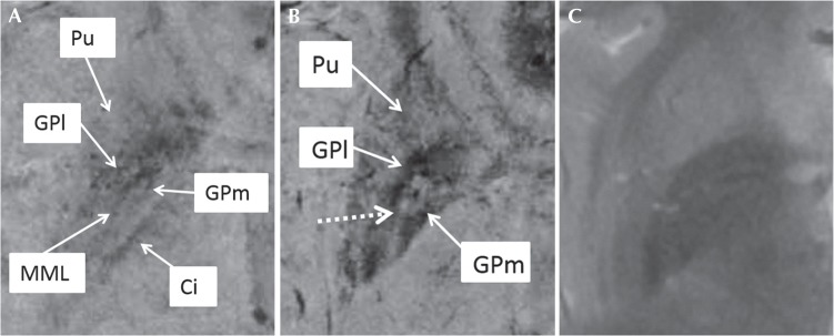 Fig 6.