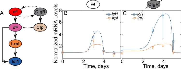 Fig 6