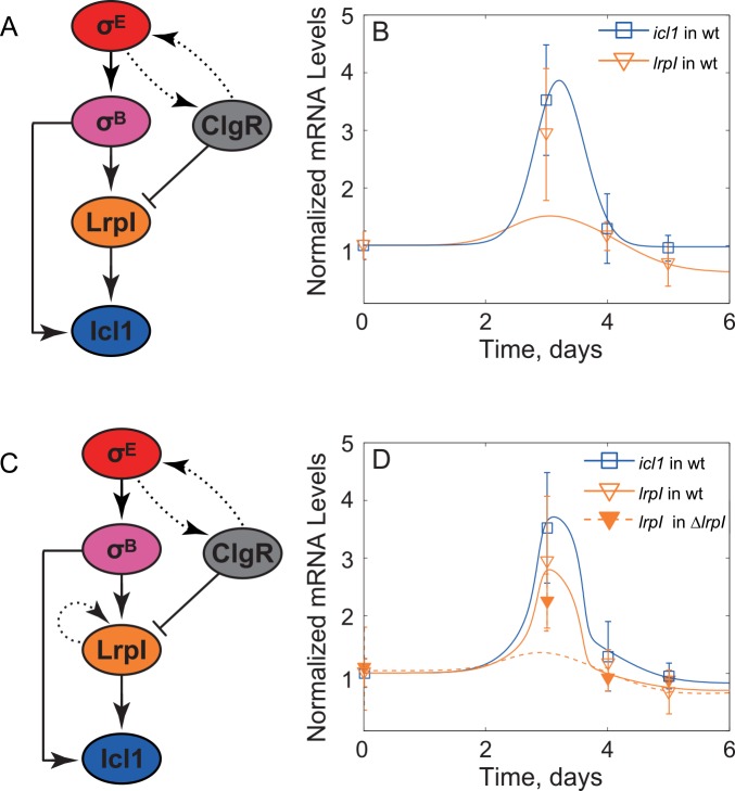 Fig 4