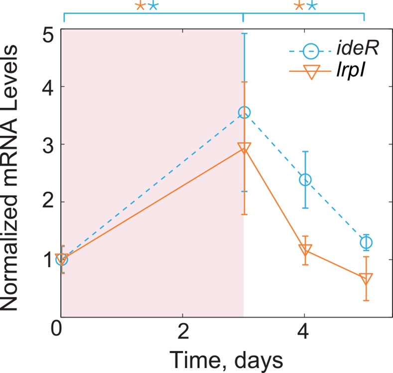 Fig 5