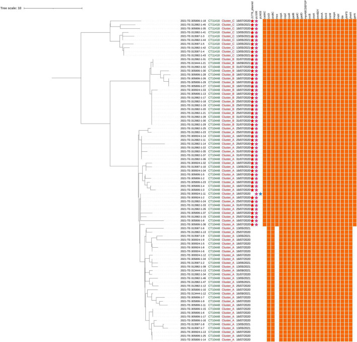 FIGURE 2