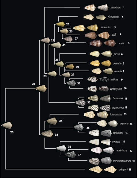 Fig. P1.